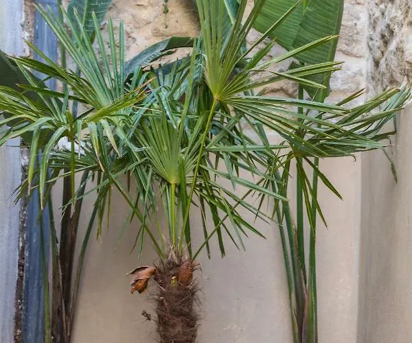 Casa Vitae Rethymno (Crete)